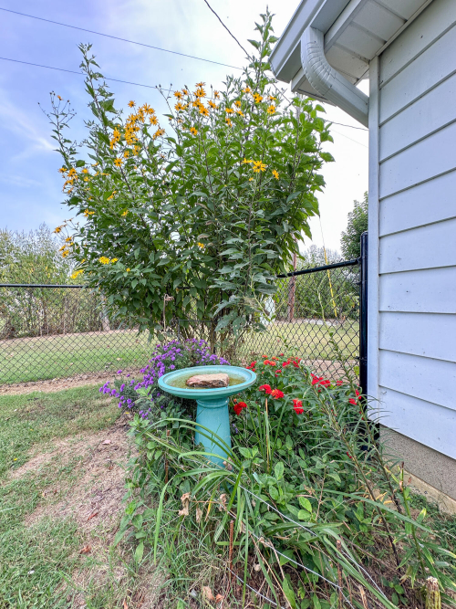 Listing Image 31