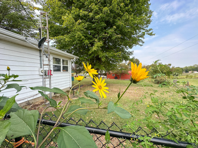 Listing Image 33
