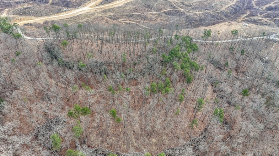 Listing Image 5