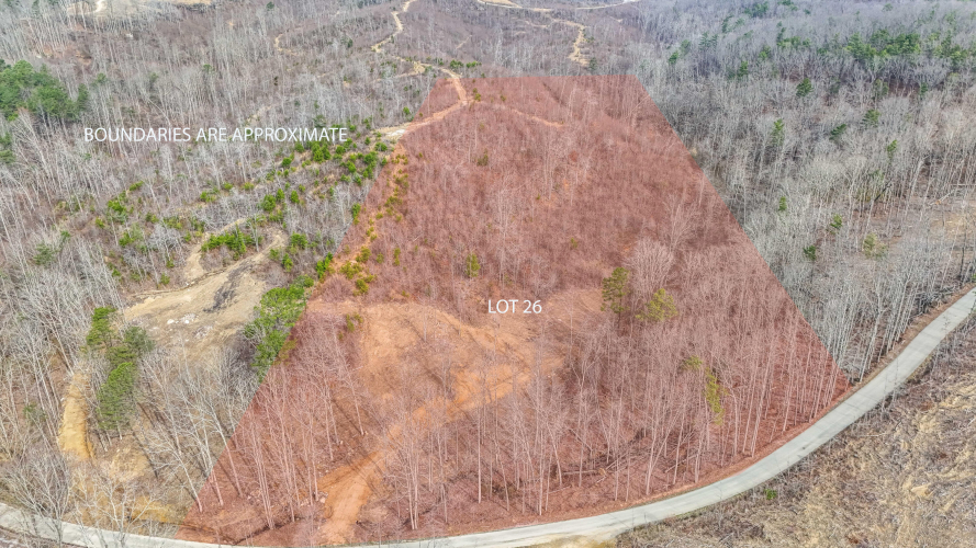 Listing Image 3