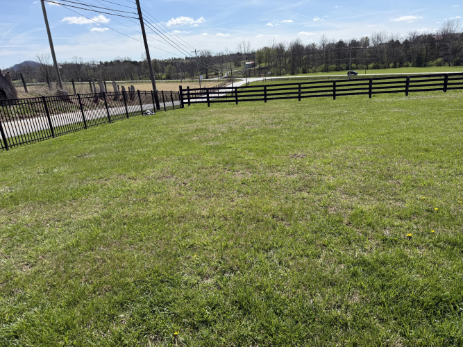 Listing Image 17