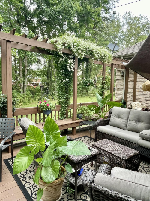 Listing Image 73