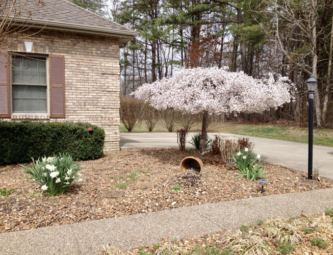 Listing Image 85