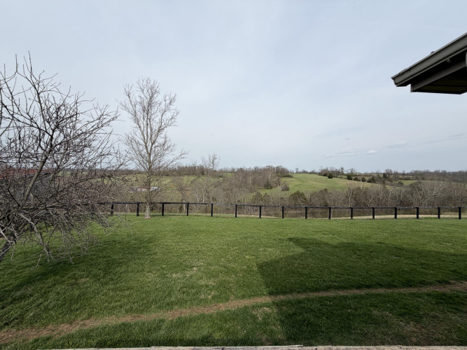 Listing Image 93