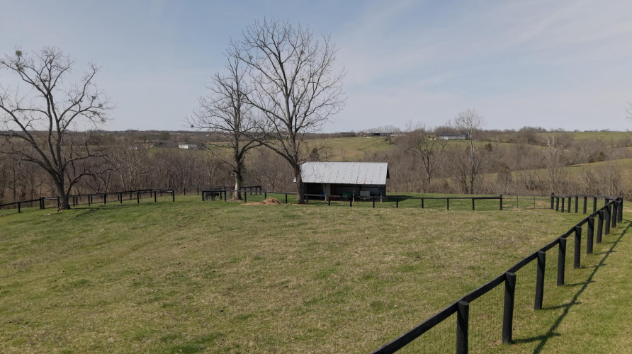 Listing Image 100