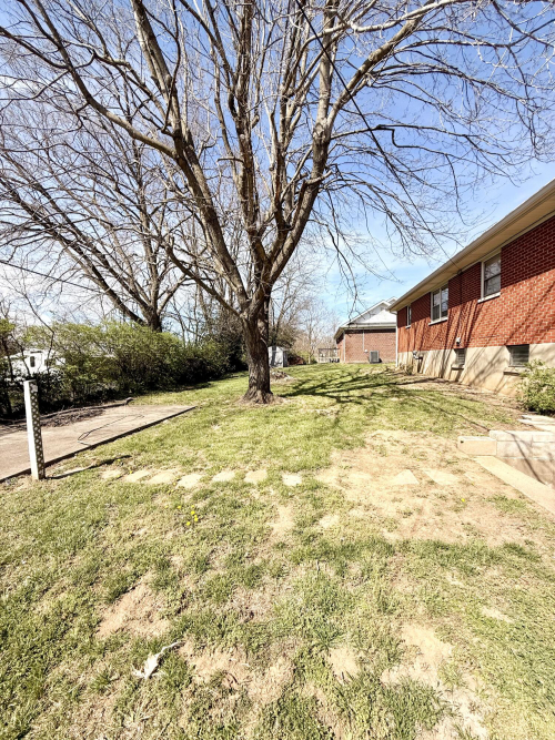 Listing Image 25