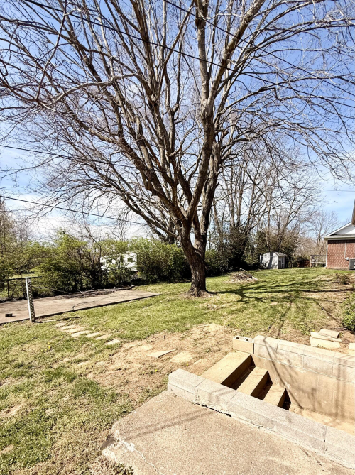 Listing Image 26