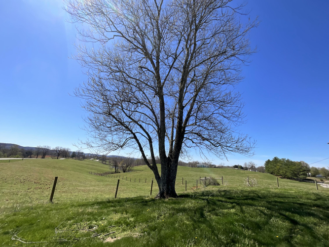 Listing Image 45