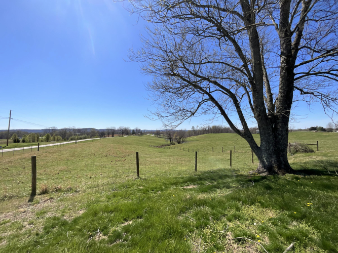 Listing Image 47