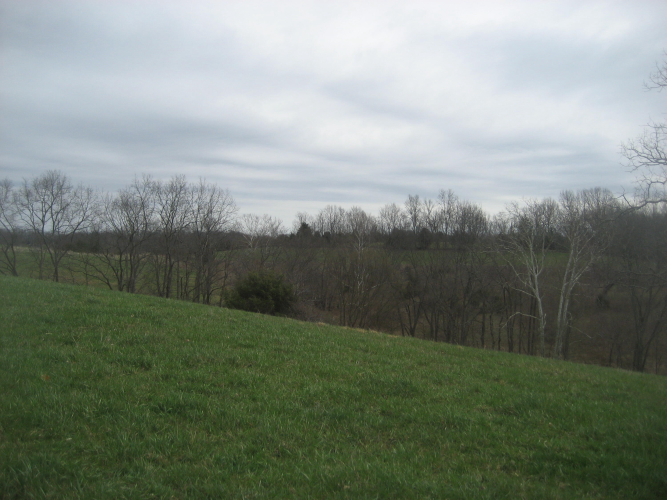 Listing Image 18