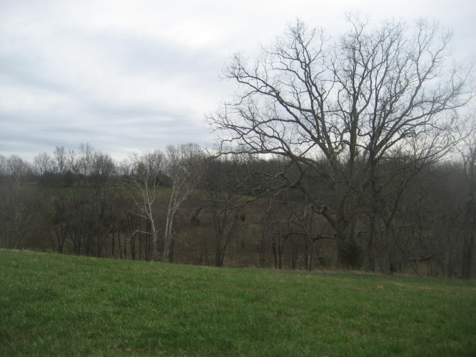 Listing Image 19