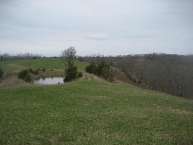 Listing Image 21
