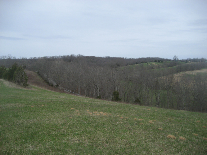 Listing Image 22