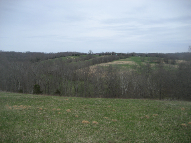 Listing Image 23