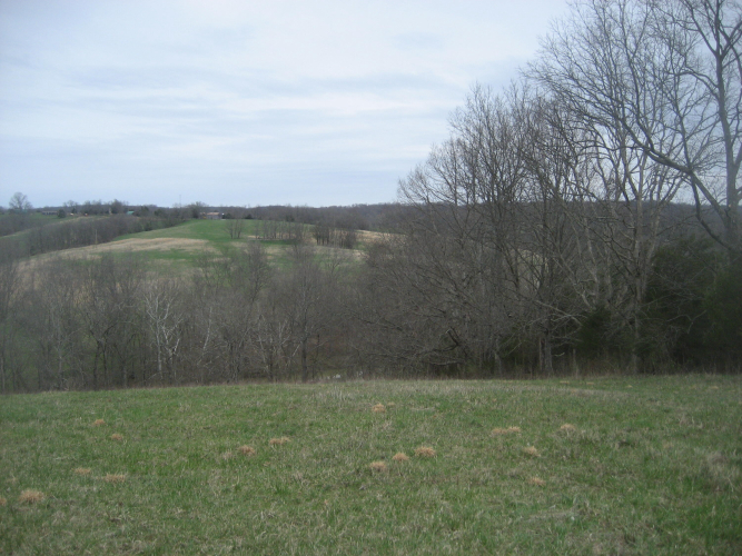 Listing Image 24