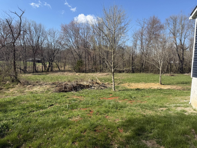 Listing Image 25