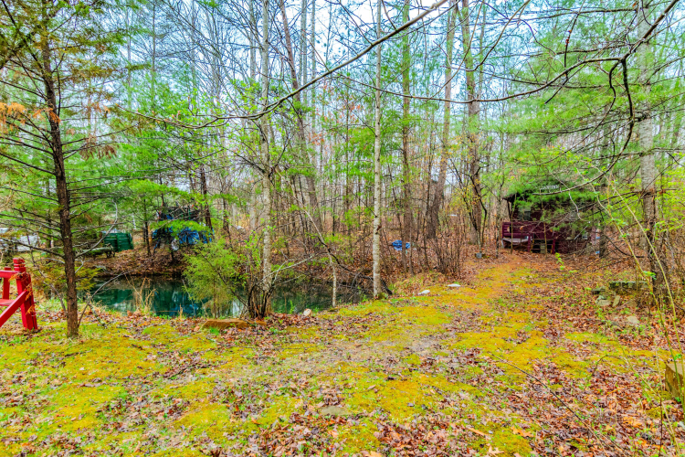 Listing Image 29