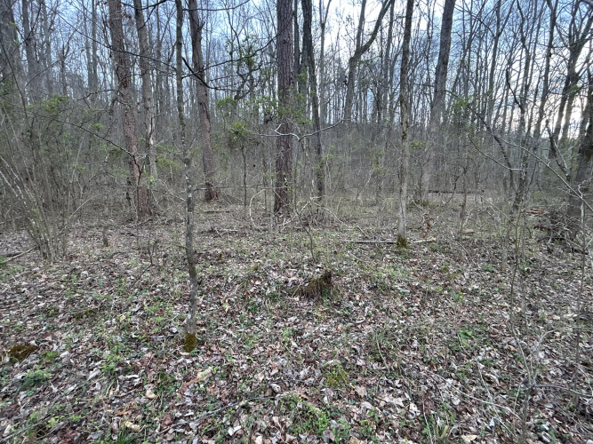 Listing Image 17