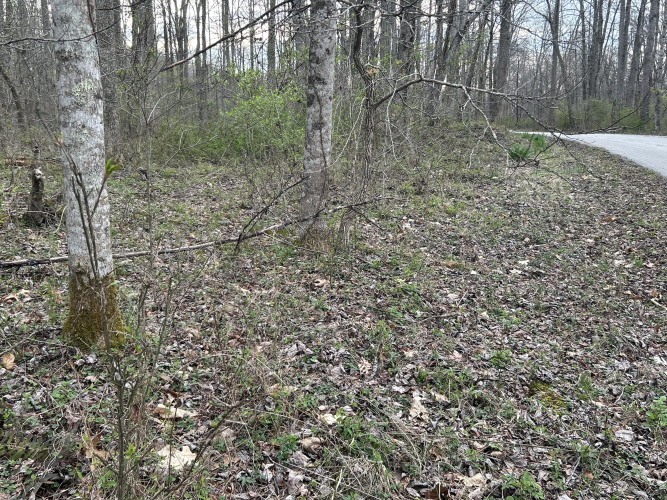 Listing Image 20