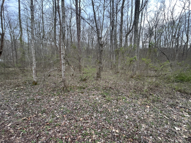 Listing Image 21