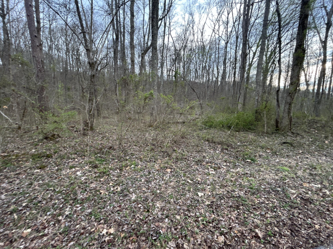 Listing Image 22