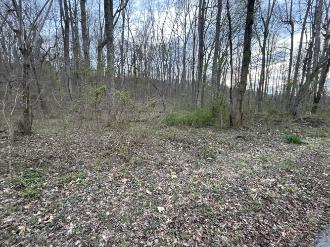 Listing Image 23