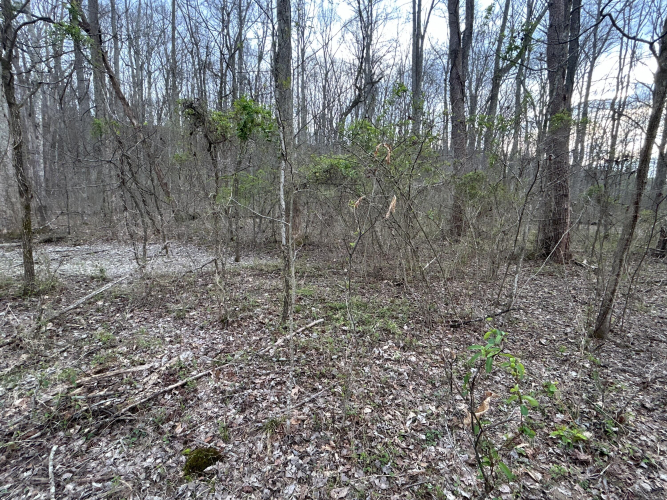 Listing Image 24