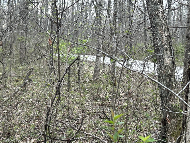 Listing Image 25