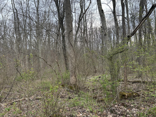 Listing Image 26