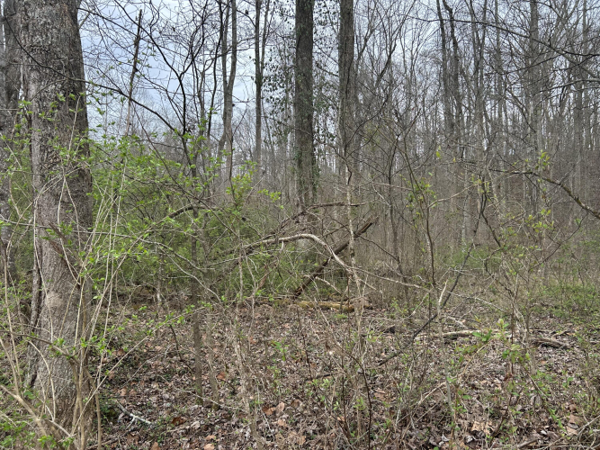 Listing Image 27