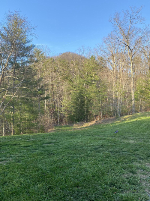 Listing Image 17