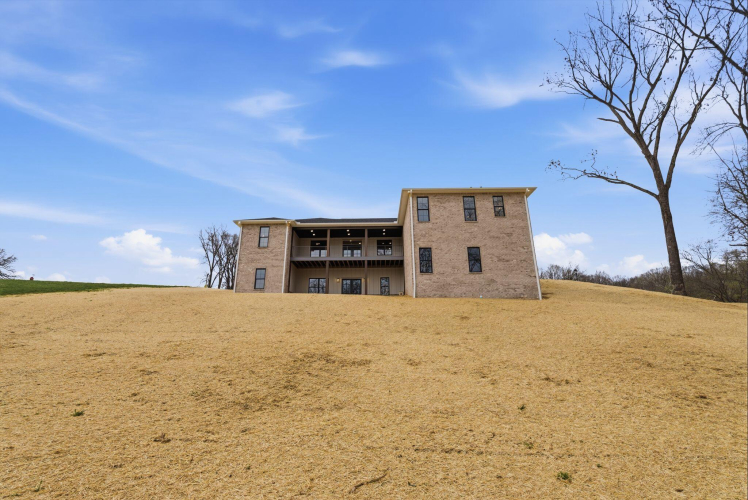 Listing Image 82