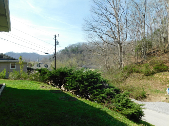 Listing Image 66