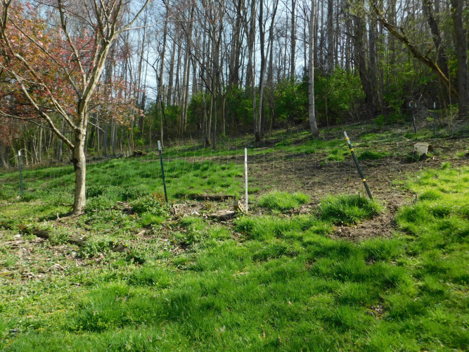 Listing Image 70