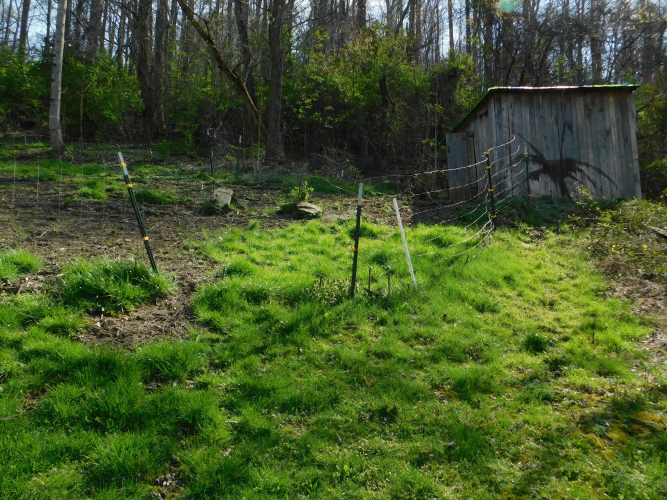 Listing Image 71