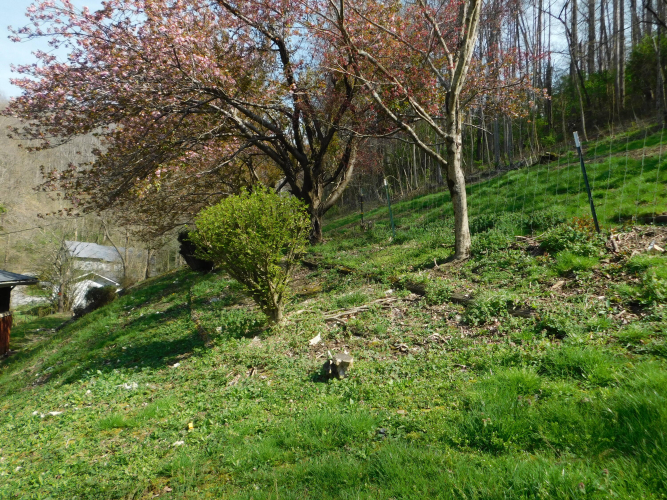 Listing Image 72