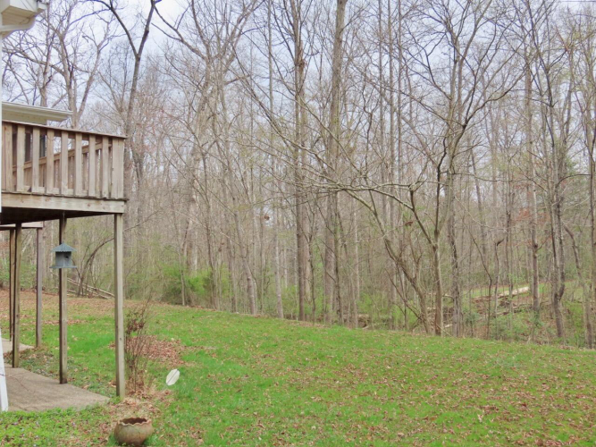 Listing Image 16