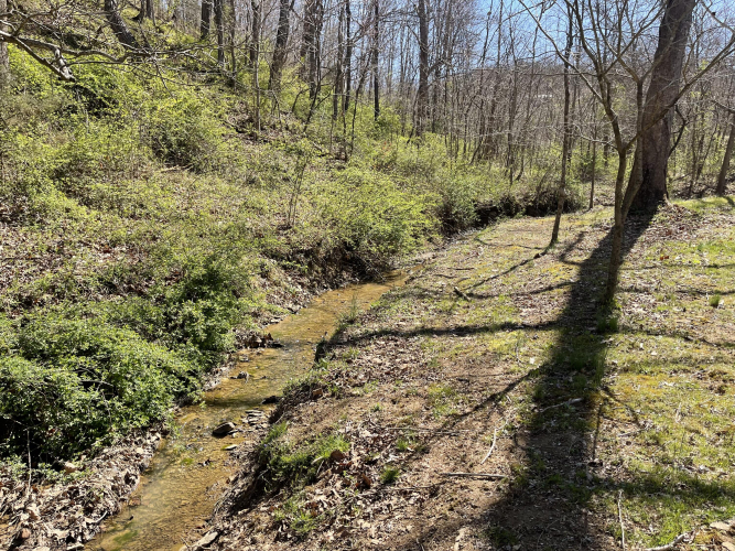 Listing Image 45