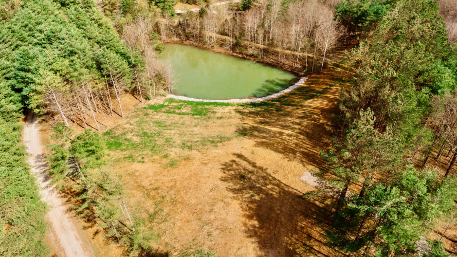 Listing Image 17
