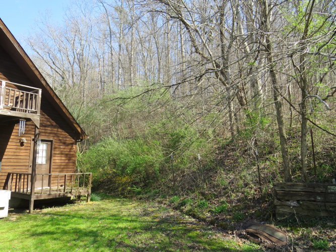 Listing Image 13