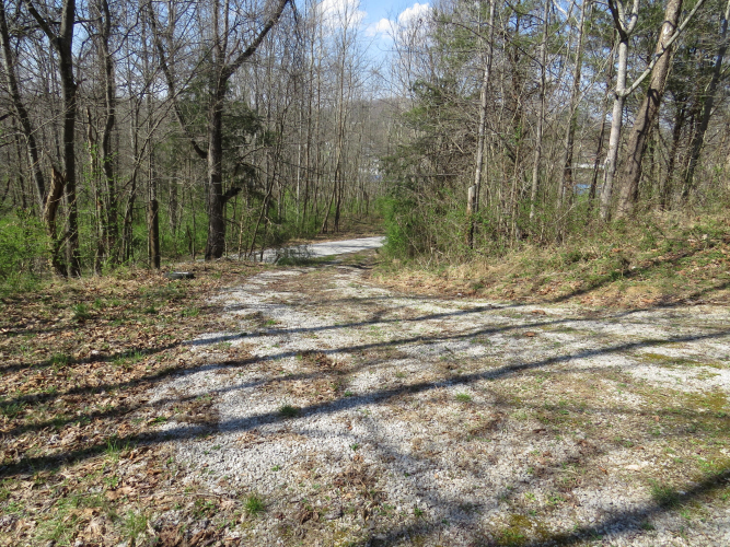 Listing Image 59