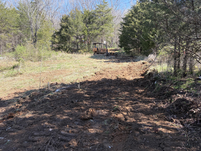 Listing Image 17