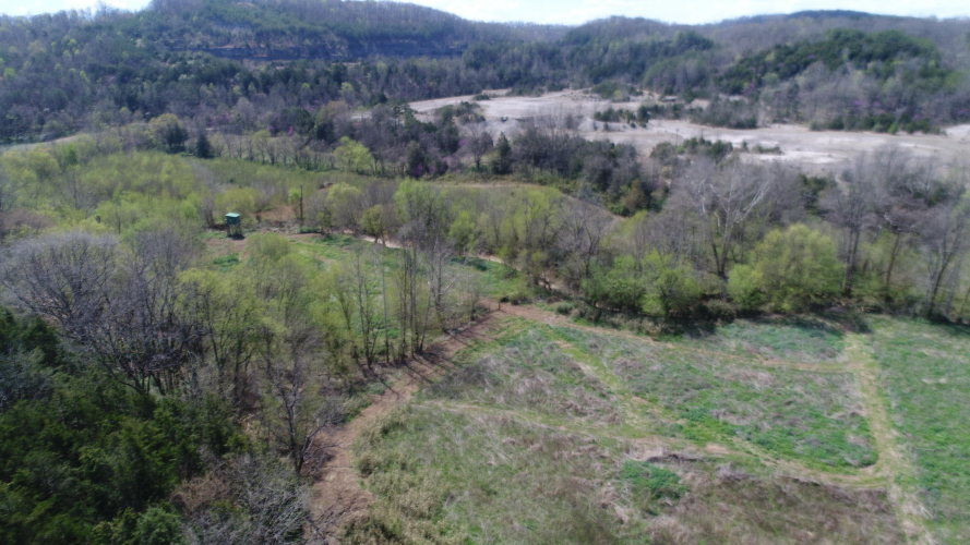Listing Image 36
