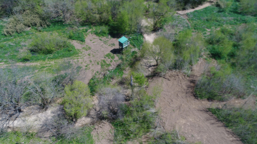 Listing Image 41