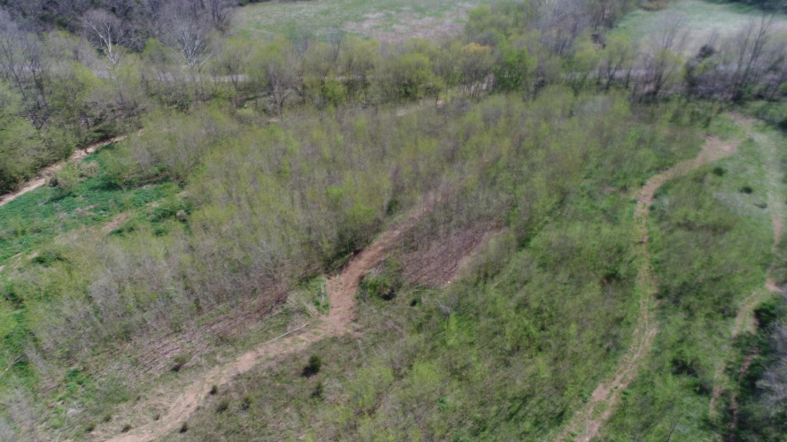 Listing Image 46