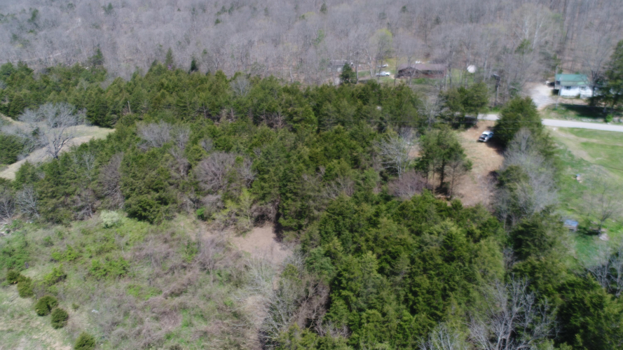 Listing Image 49
