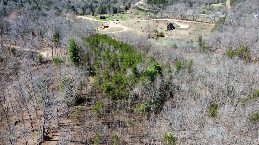 Listing Image 4