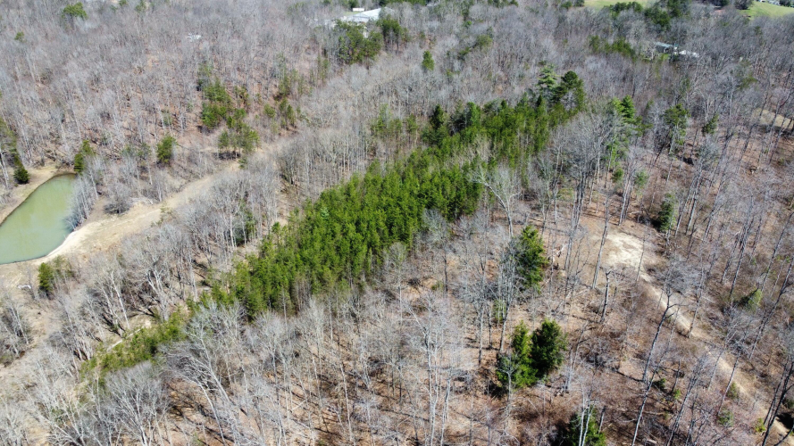 Listing Image 6