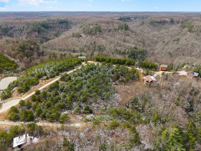 Listing Image 5