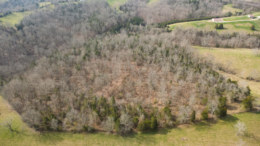 Listing Image 45